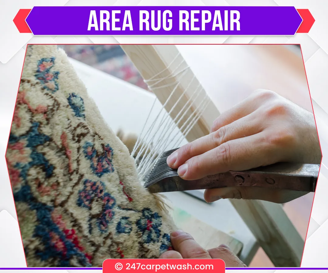 carpet cleaners in Brooklyn, carpet cleaning in Brooklyn, carpet cleaning bkln, carpet cleaners in brooklyn,  commercial carpet cleaning, commercial carpet cleaning in brooklyn,carpet cleaning in brooklyn,  brooklyn rug cleaners, rug cleaning services in brooklyn, same day carpet cleaning, same day rug cleaning